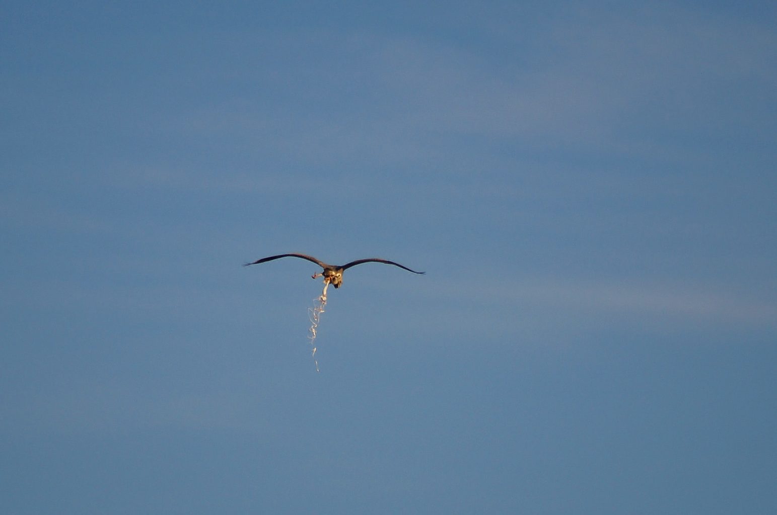 Valokuvaaja: Jari Pirppu