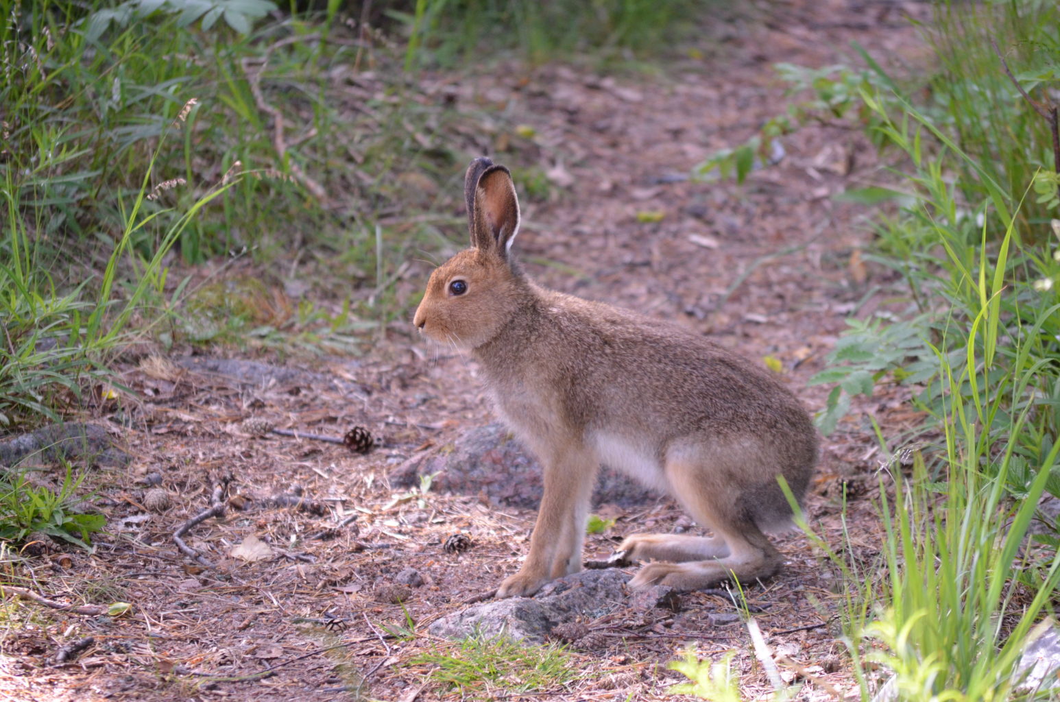 Valokuvaaja: Marju Toivanen Valokuvaaja: Marju Toivanen