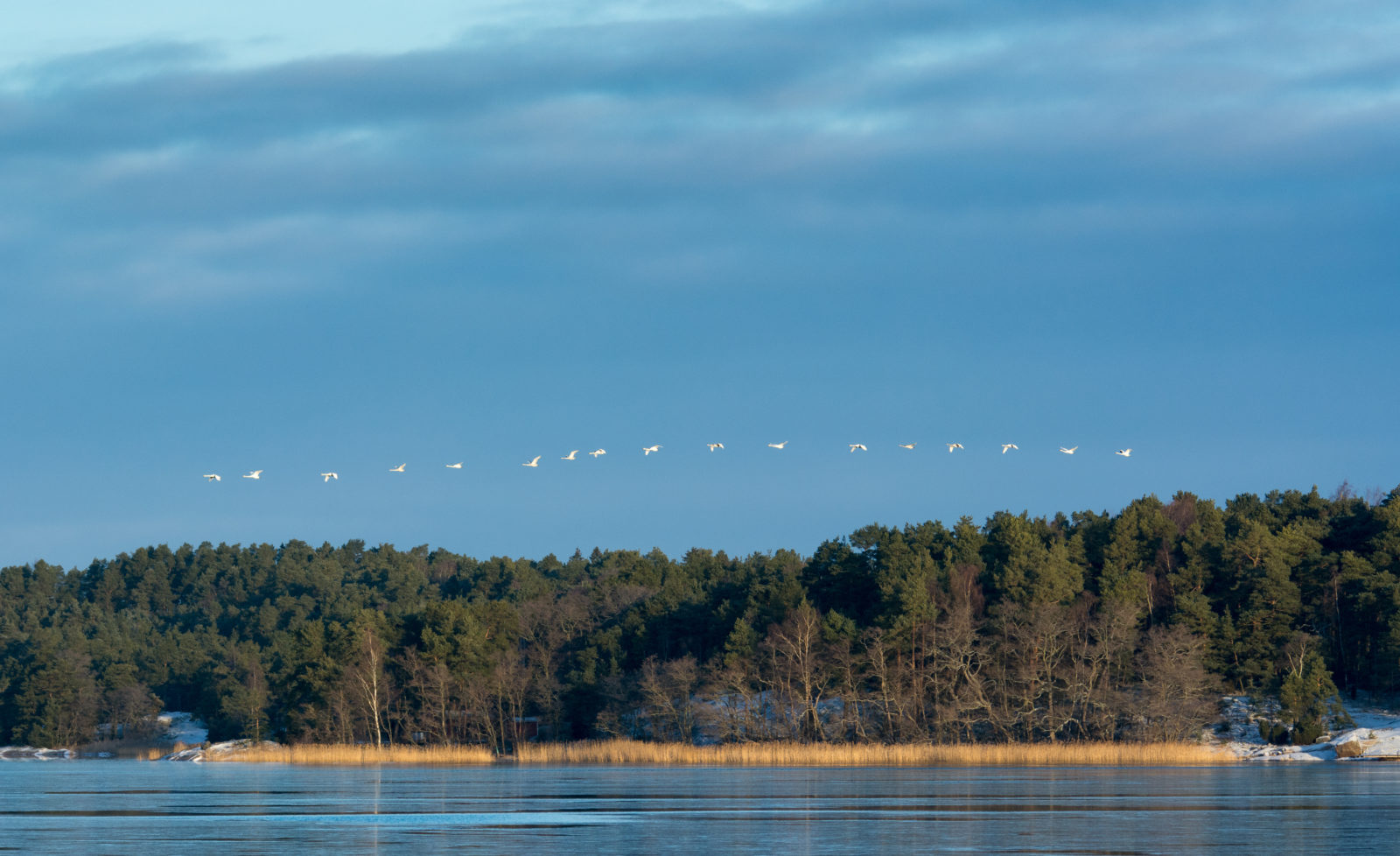 Valokuvaaja: Petri Kyllönen