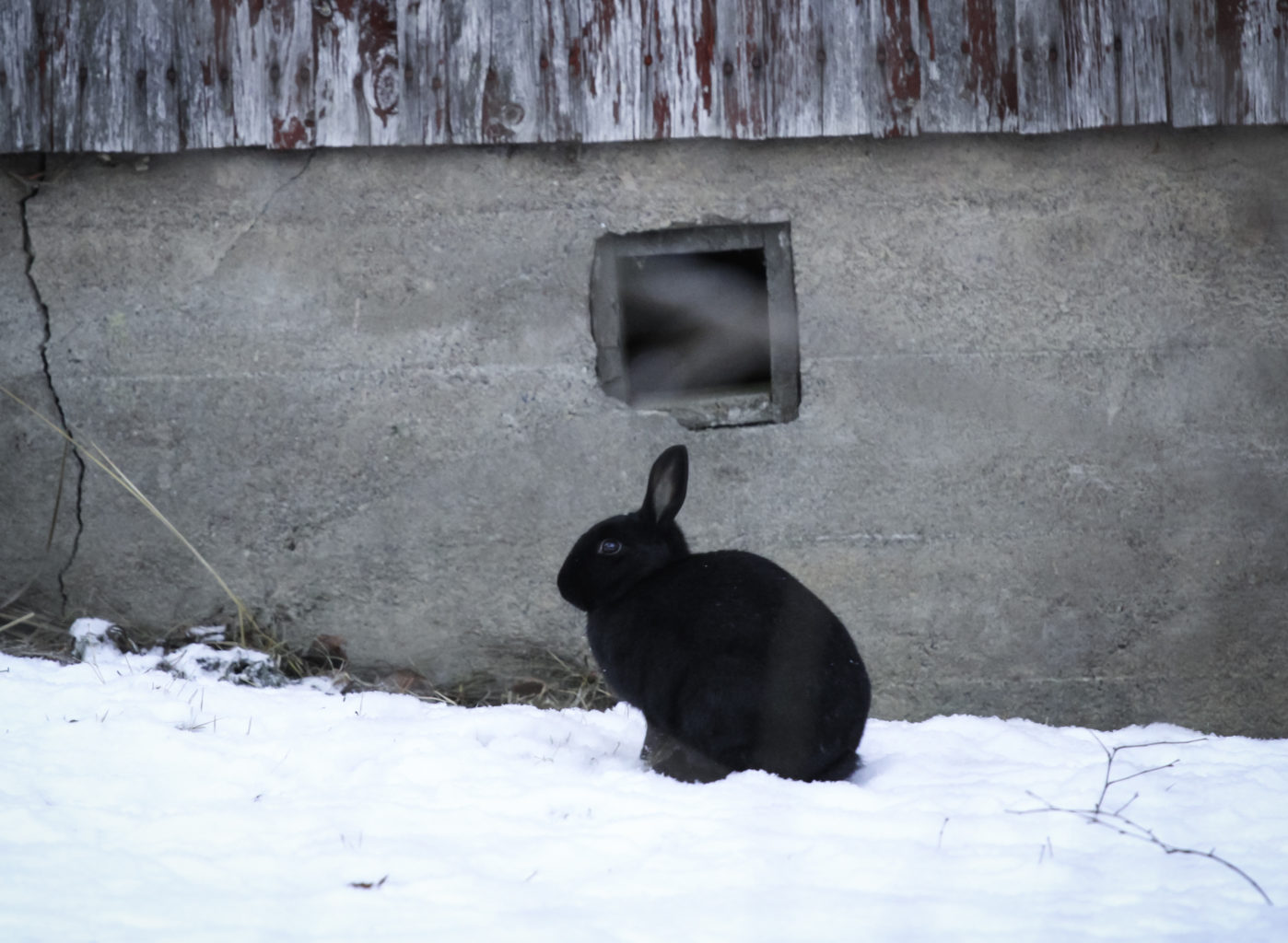 Valokuvaaja: Satu Mali
