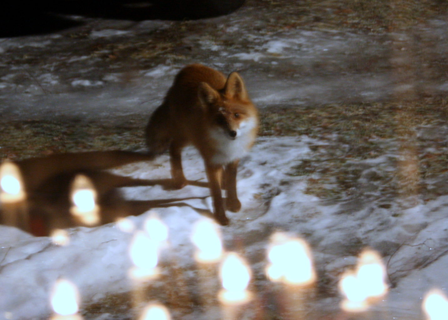 Valokuvaaja: Marjo Kaisko