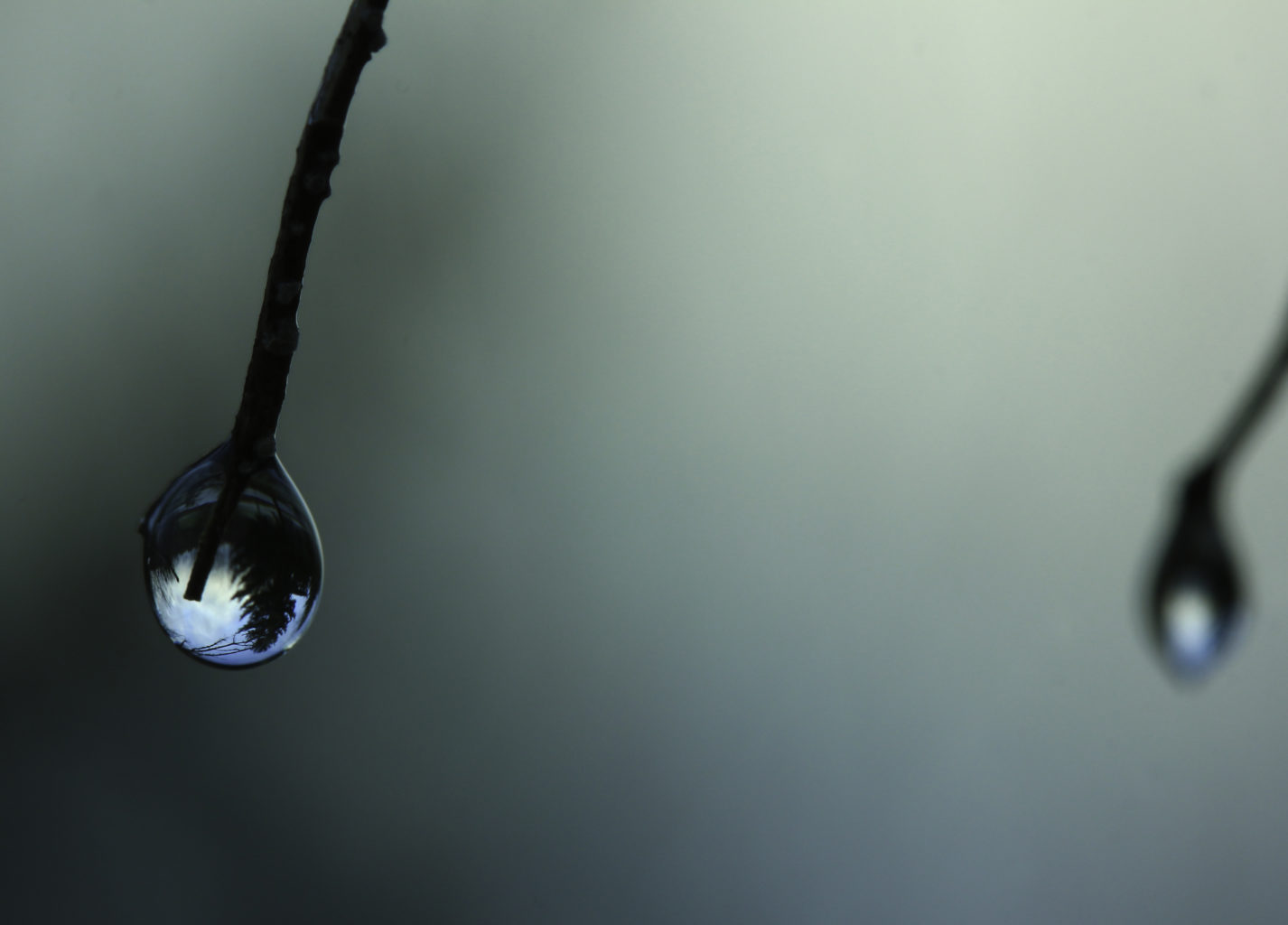 Valokuvaaja: Satu Mali