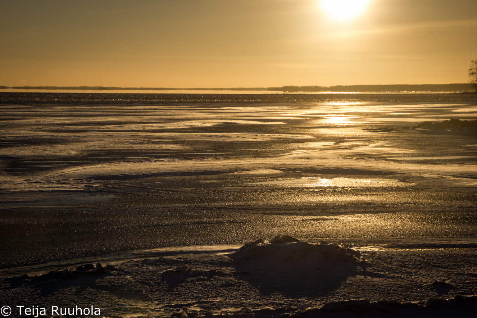 Valokuvaaja: Teija Ruuhola
