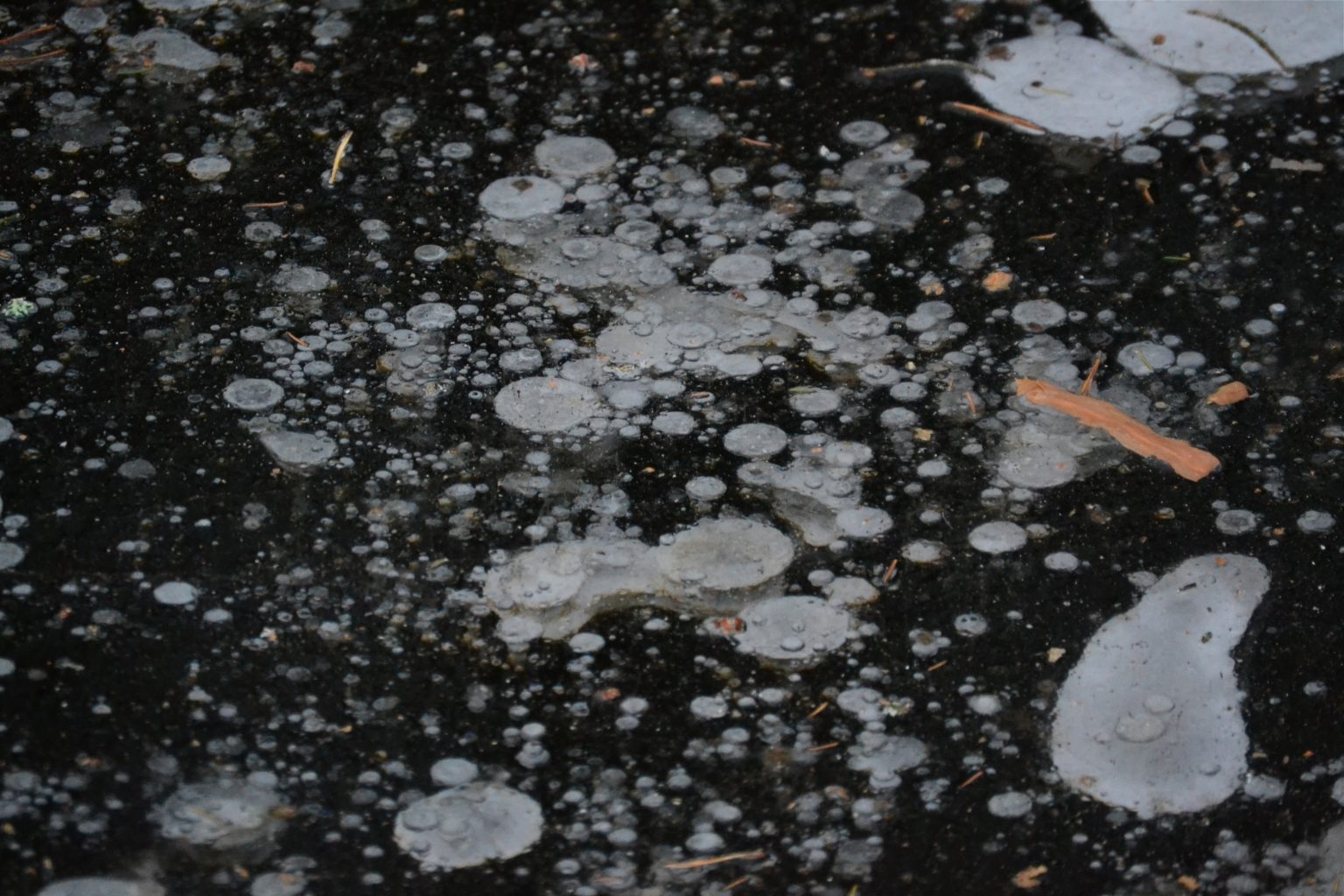 Valokuvaaja: Noora Andersson