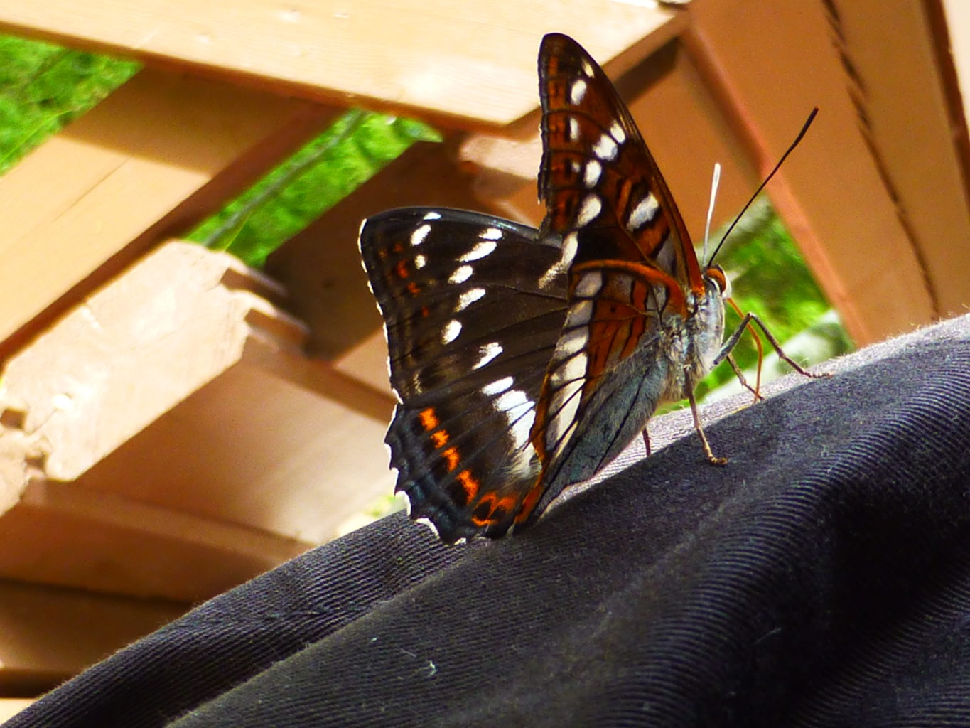 Valokuvaaja: Jaakko Kettunen