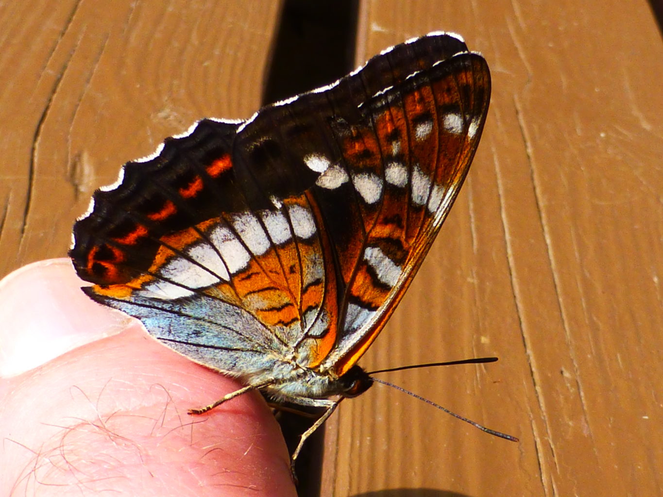 Valokuvaaja: Jaakko Kettunen