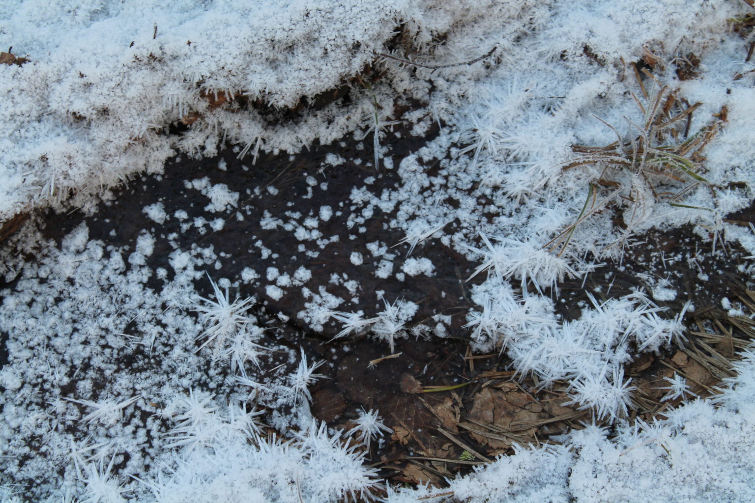Valokuvaaja: Anne Koikkalainen
