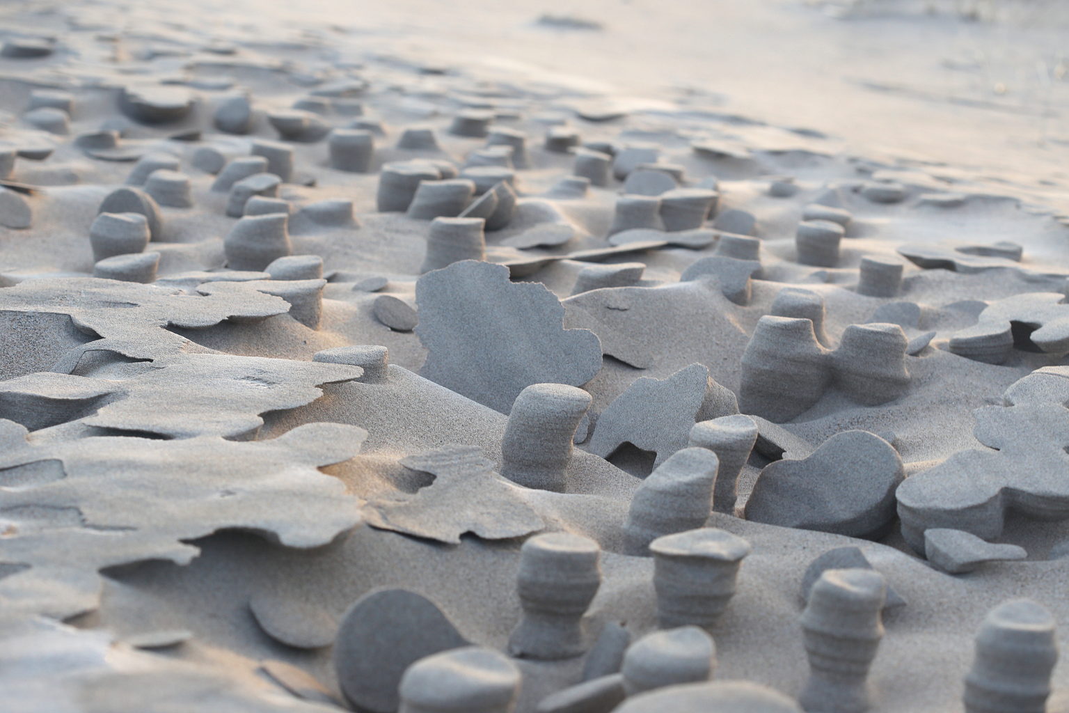 Valokuvaaja: Terhi Ylinen