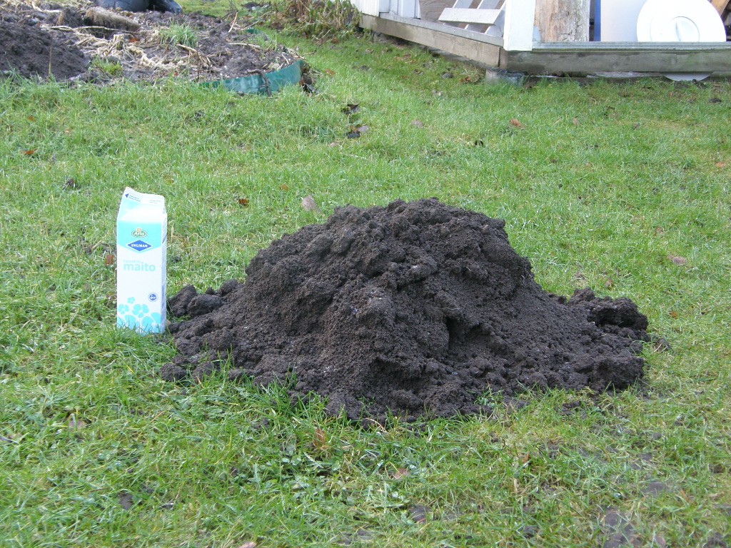 Valokuvaaja: Mikko Kuosmanen