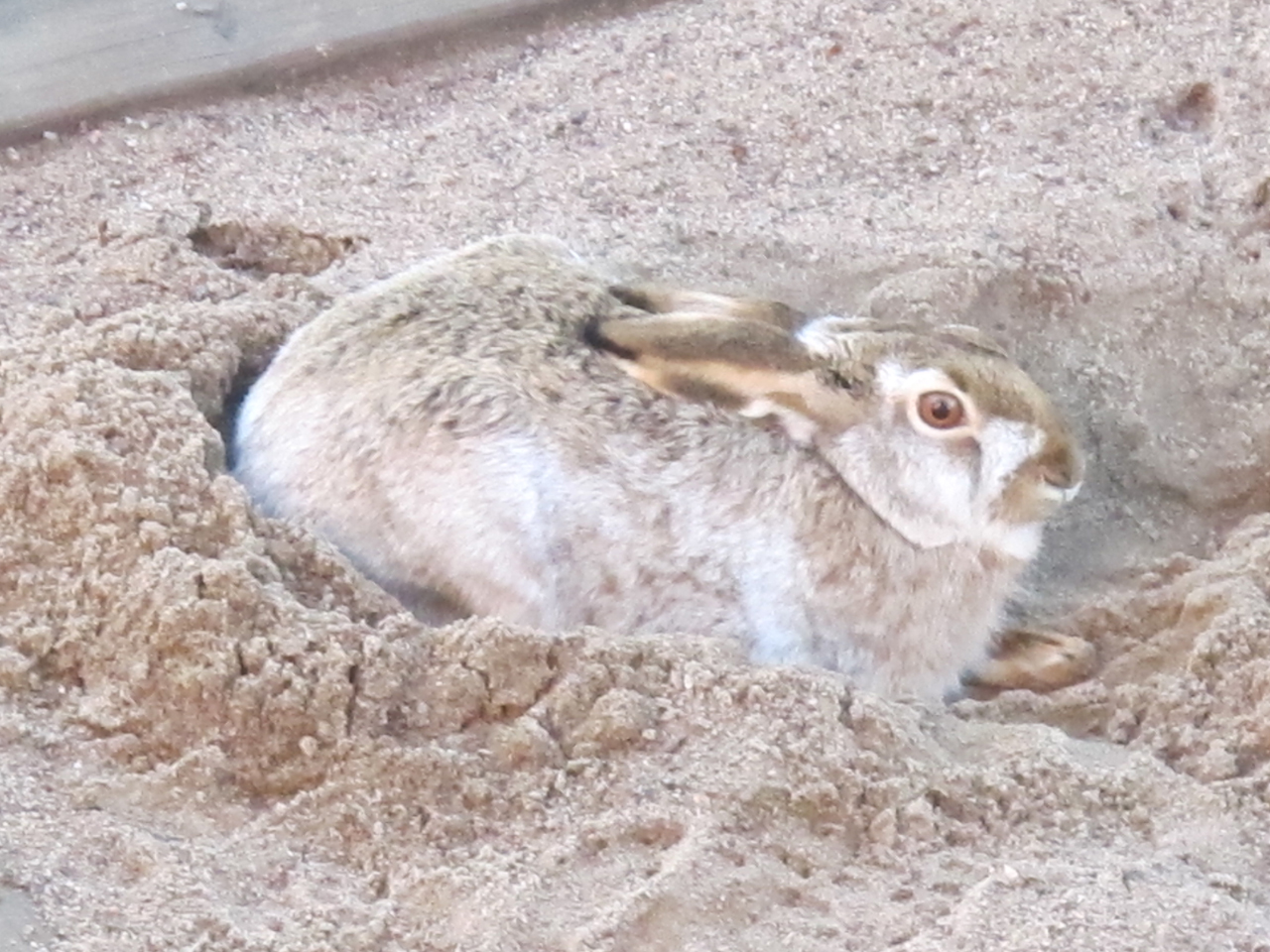 Valokuvaaja: Miia Ojanen