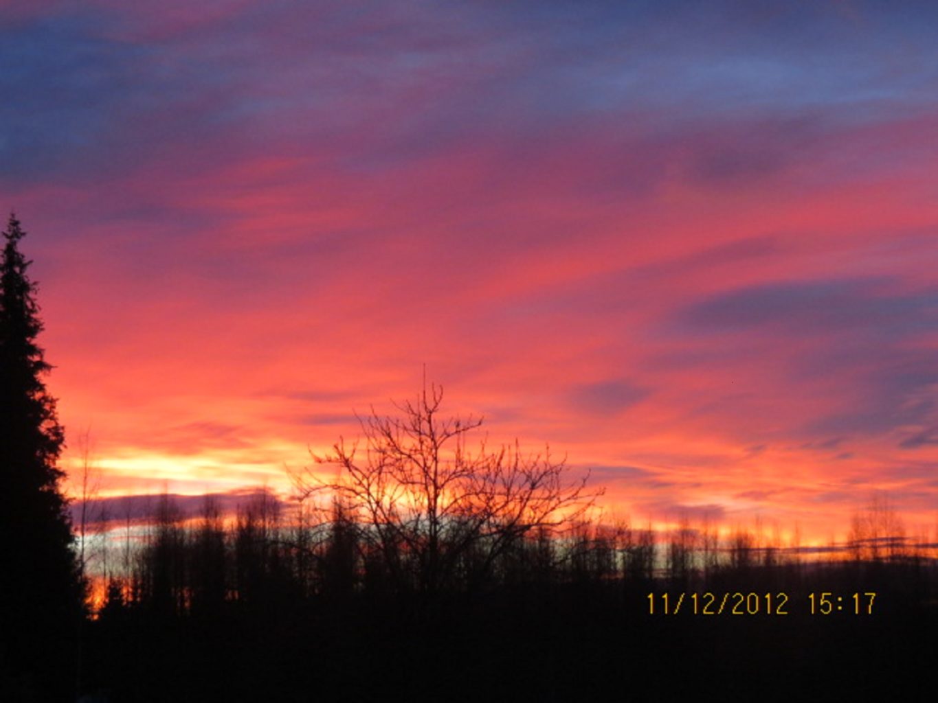 Valokuvaaja: LeaMäyrä