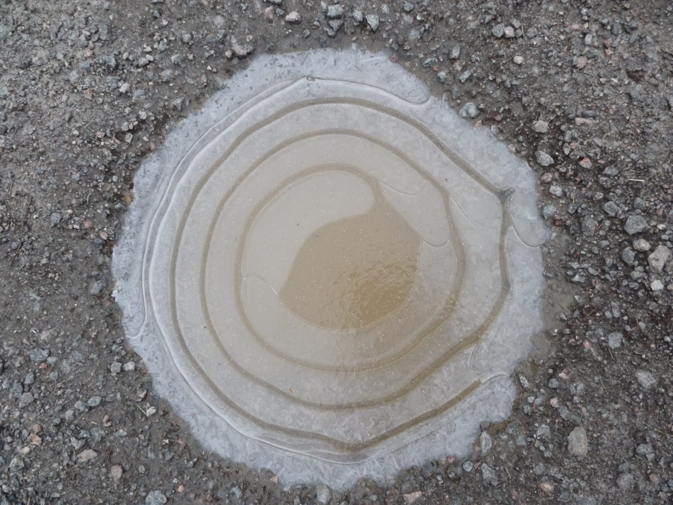 Valokuvaaja: Marianna Parkkonen