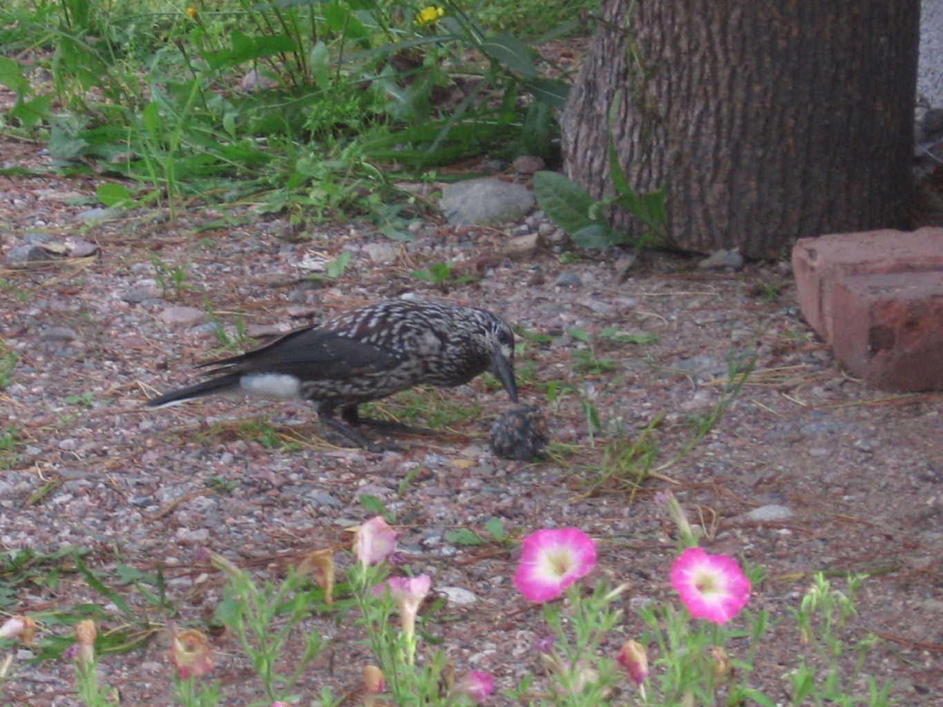 Valokuvaaja: Debbie Martikainen