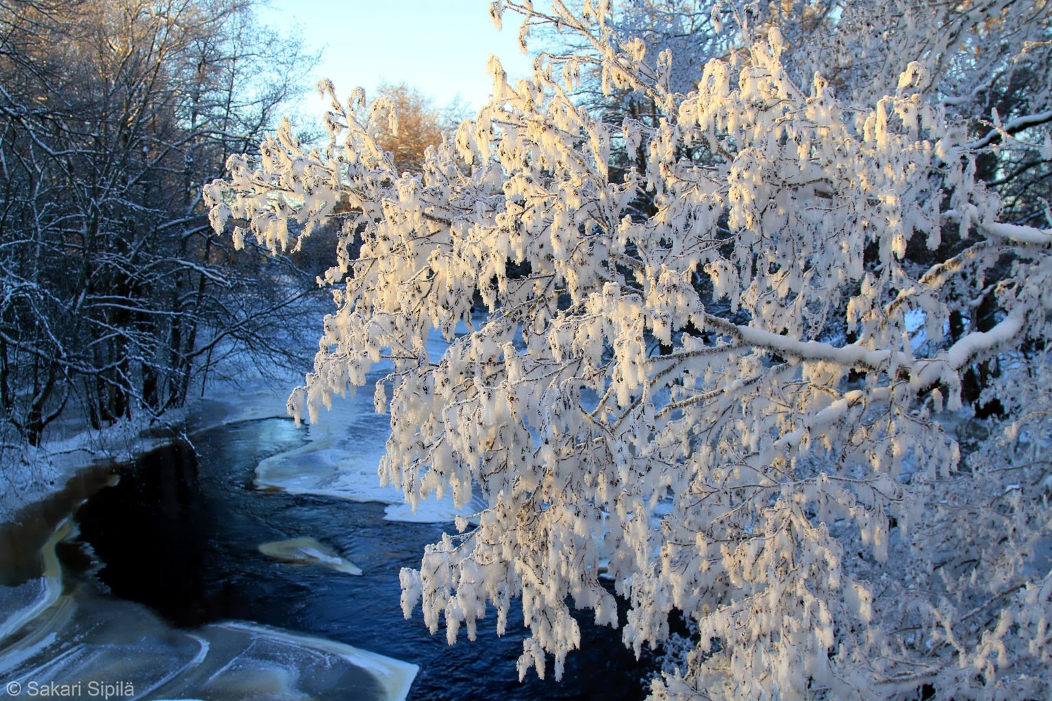 Valokuvaaja: Sakari Sipilä Valokuvaaja: Sakari Sipilä