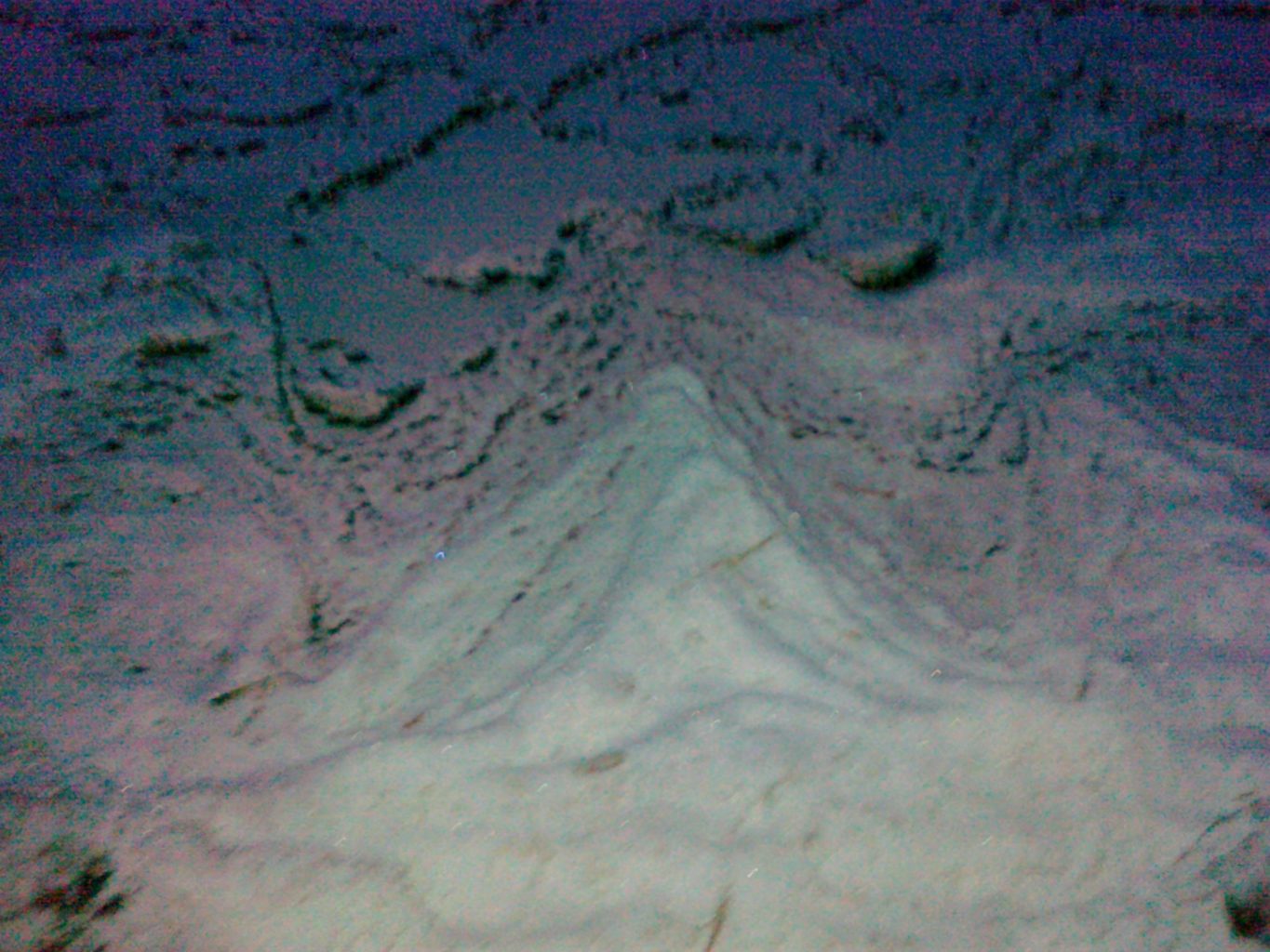 Valokuvaaja: Tuija Mertanen