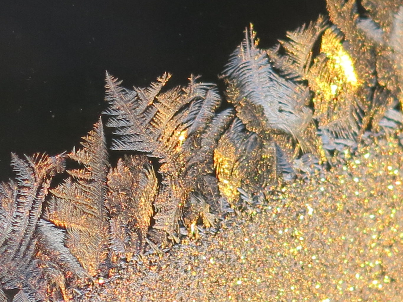 Valokuvaaja: Pirjo Käpylä