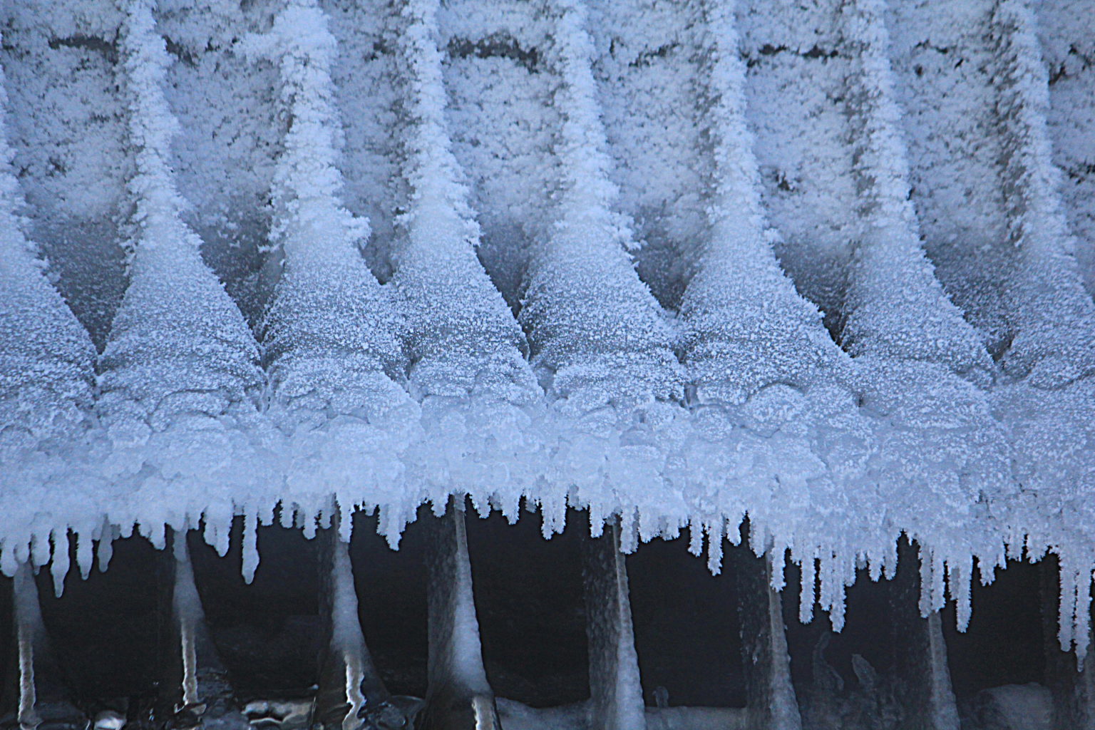 Valokuvaaja: väänänen mika