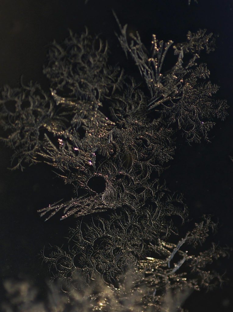 Valokuvaaja: Arja Tappola