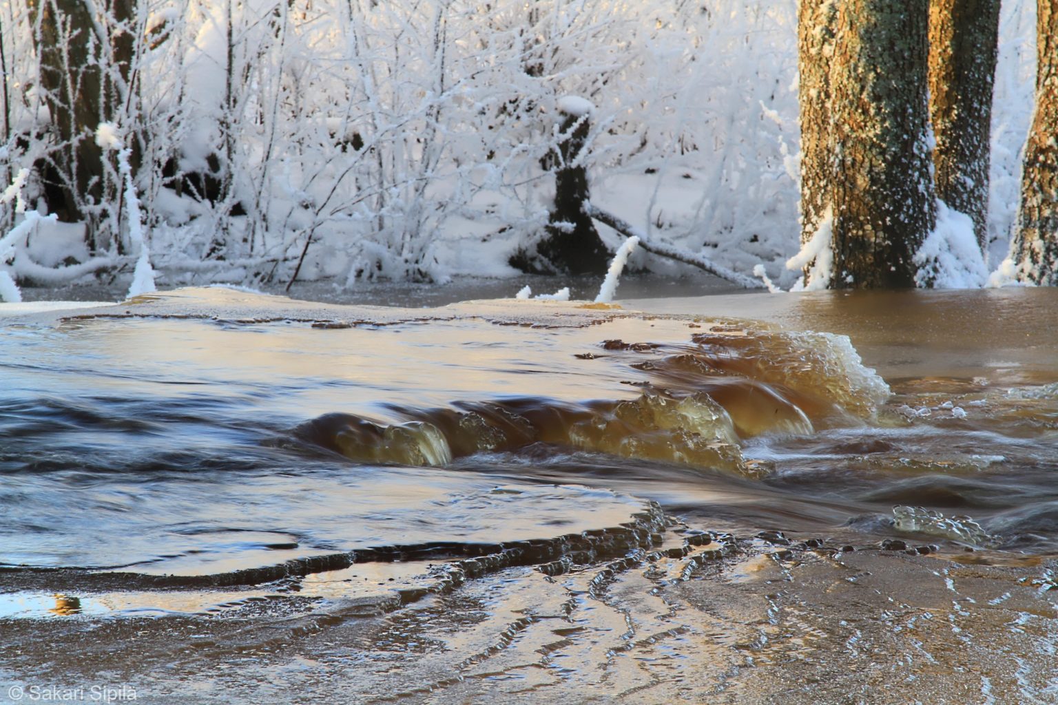 Valokuvaaja: Sakari Sipilä
