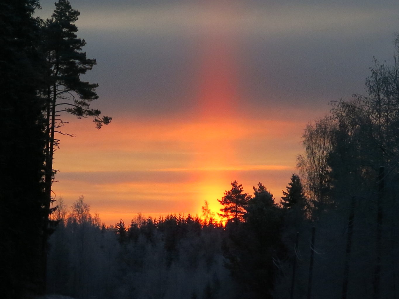 Valokuvaaja: Pirjo Käpylä