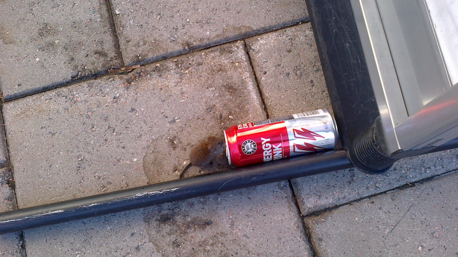 Valokuvaaja: Jaana Elmgren-Salmi Valokuvaaja: Jaana Elmgren-Salmi