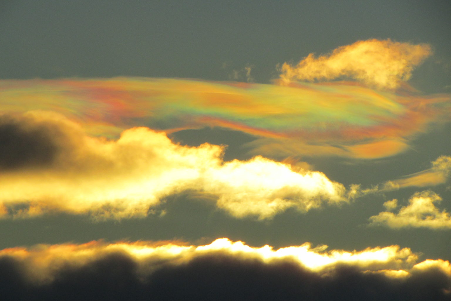 Valokuvaaja: Merja Lönnroth