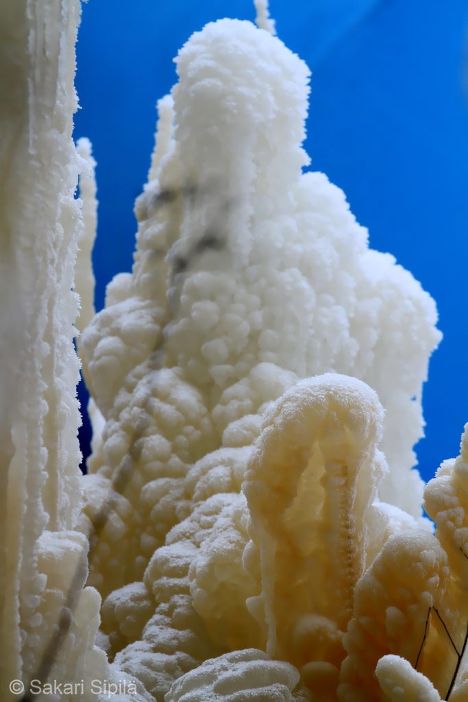 Valokuvaaja: Sakari Sipilä