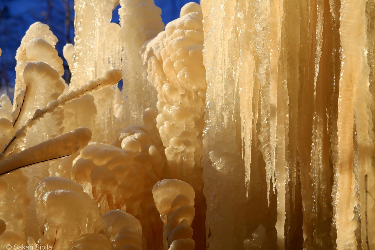 Valokuvaaja: Sakari Sipilä