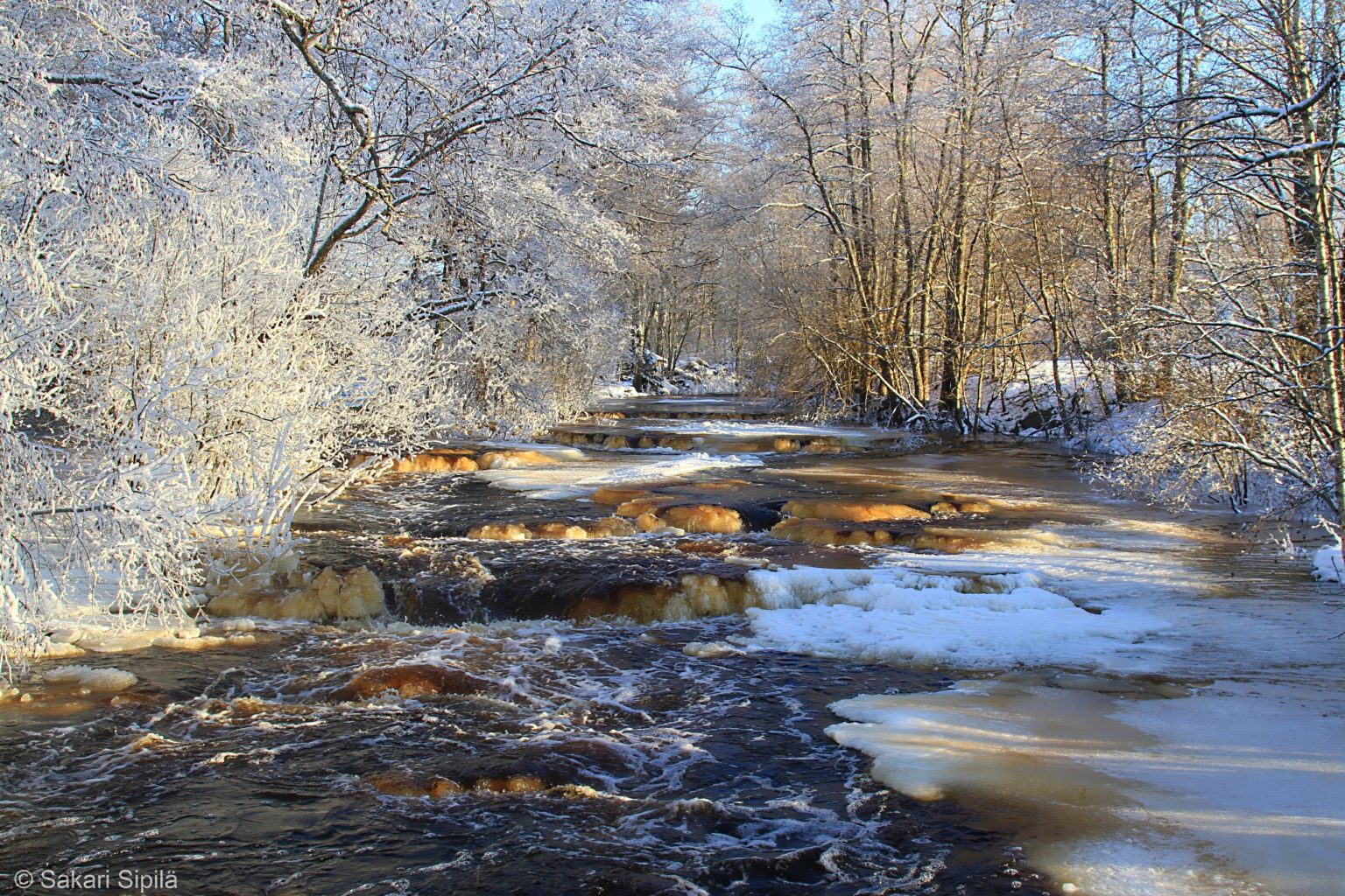 Valokuvaaja: Sakari Sipilä