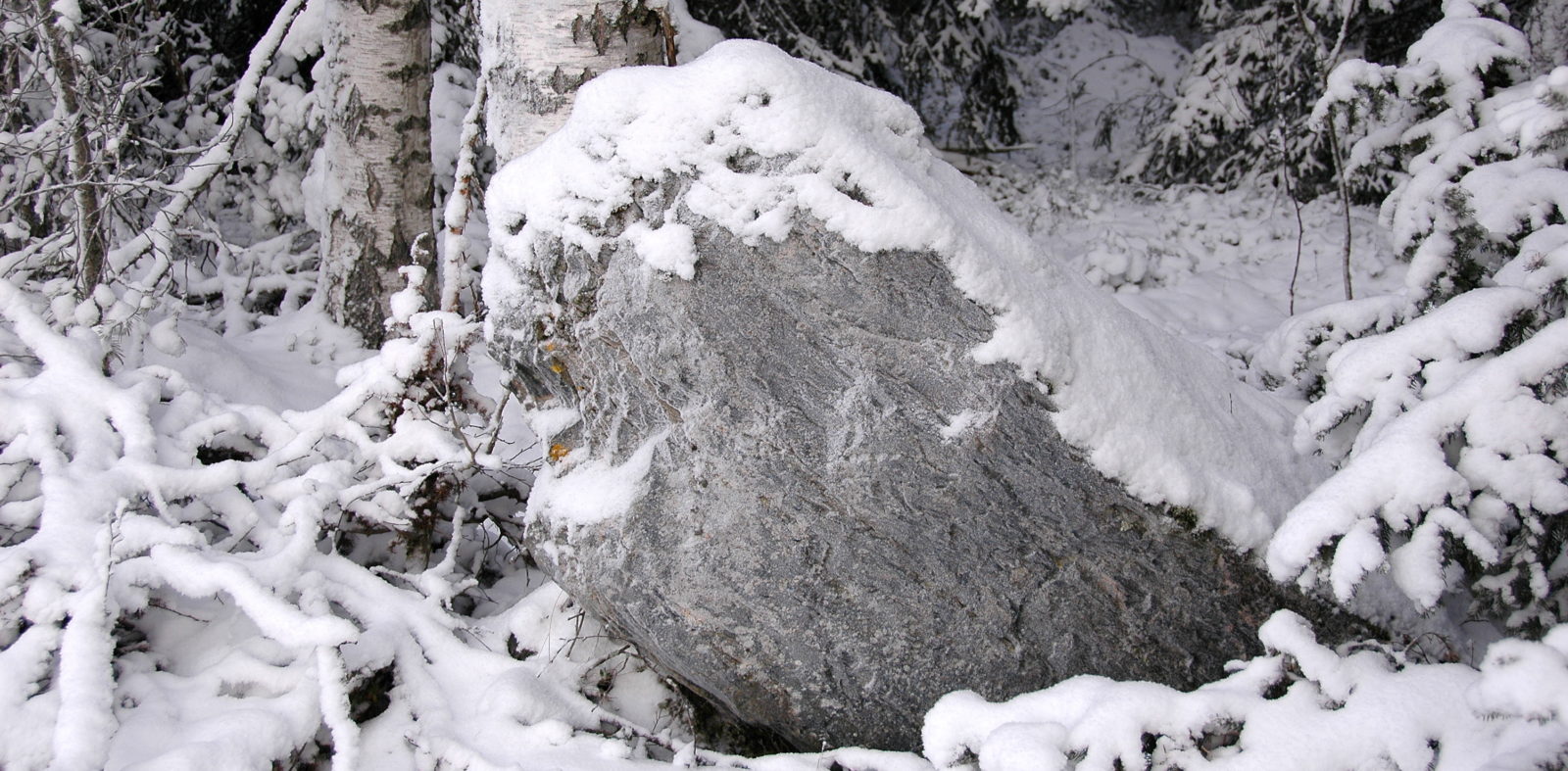 Valokuvaaja: Niklas Storbacka