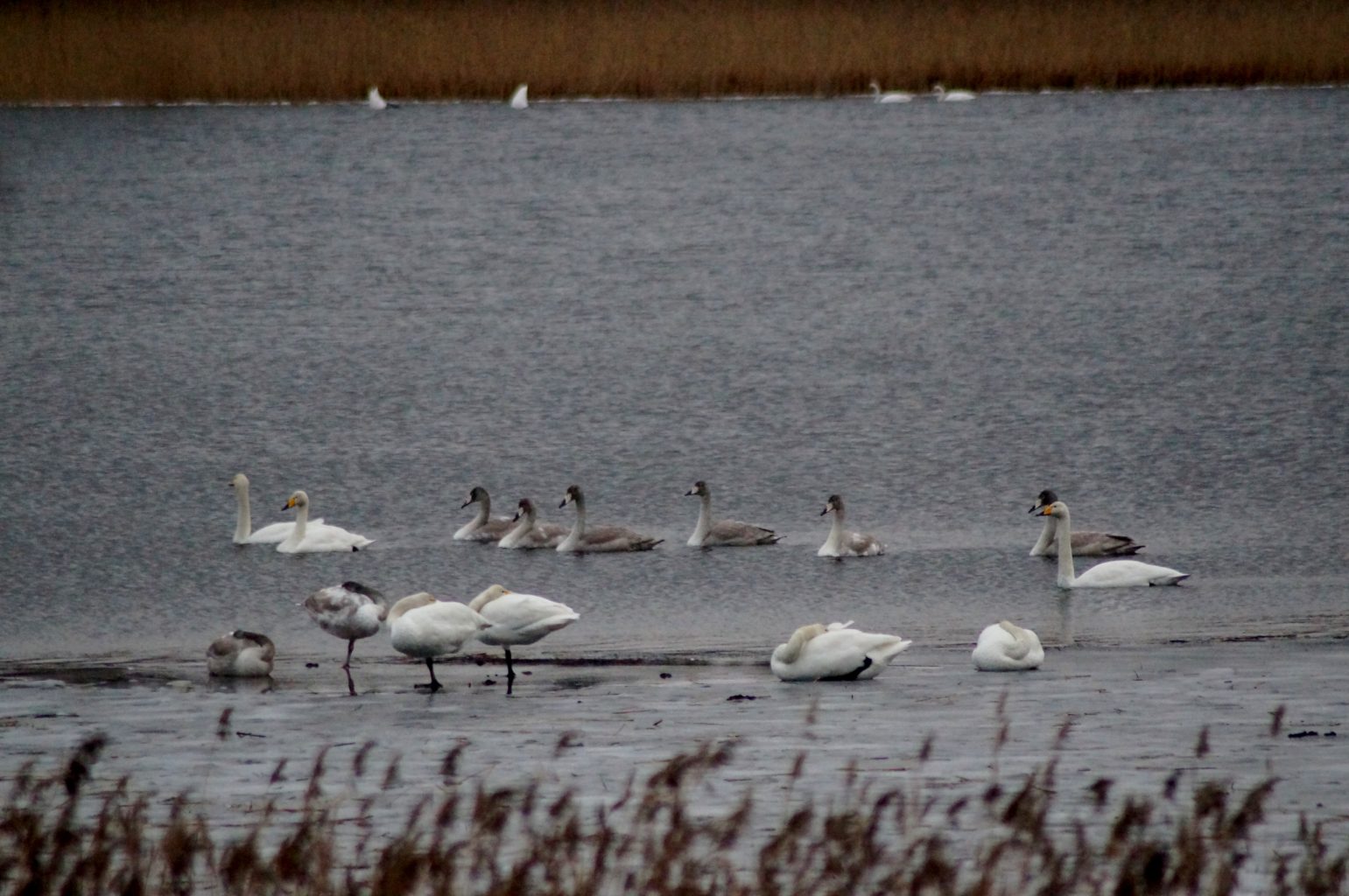 Valokuvaaja: Maarit Siitonen Valokuvaaja: Maarit Siitonen