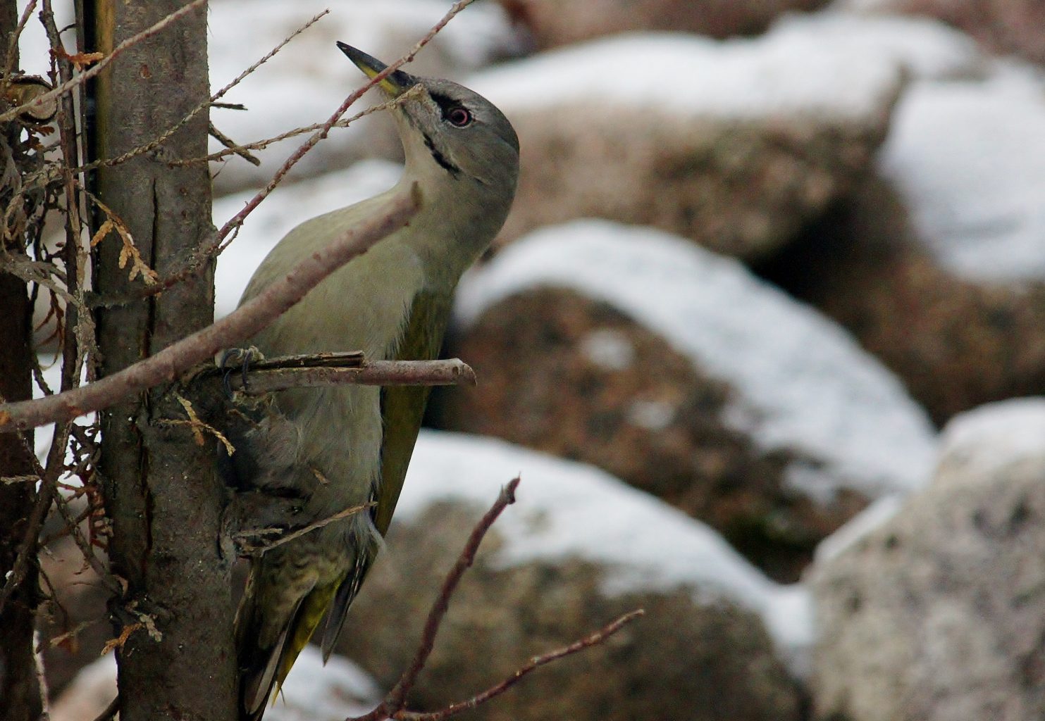 Valokuvaaja: Tuulikki Piikkilä