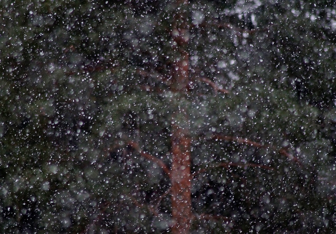 Valokuvaaja: Maarit Siitonen Valokuvaaja: Maarit Siitonen