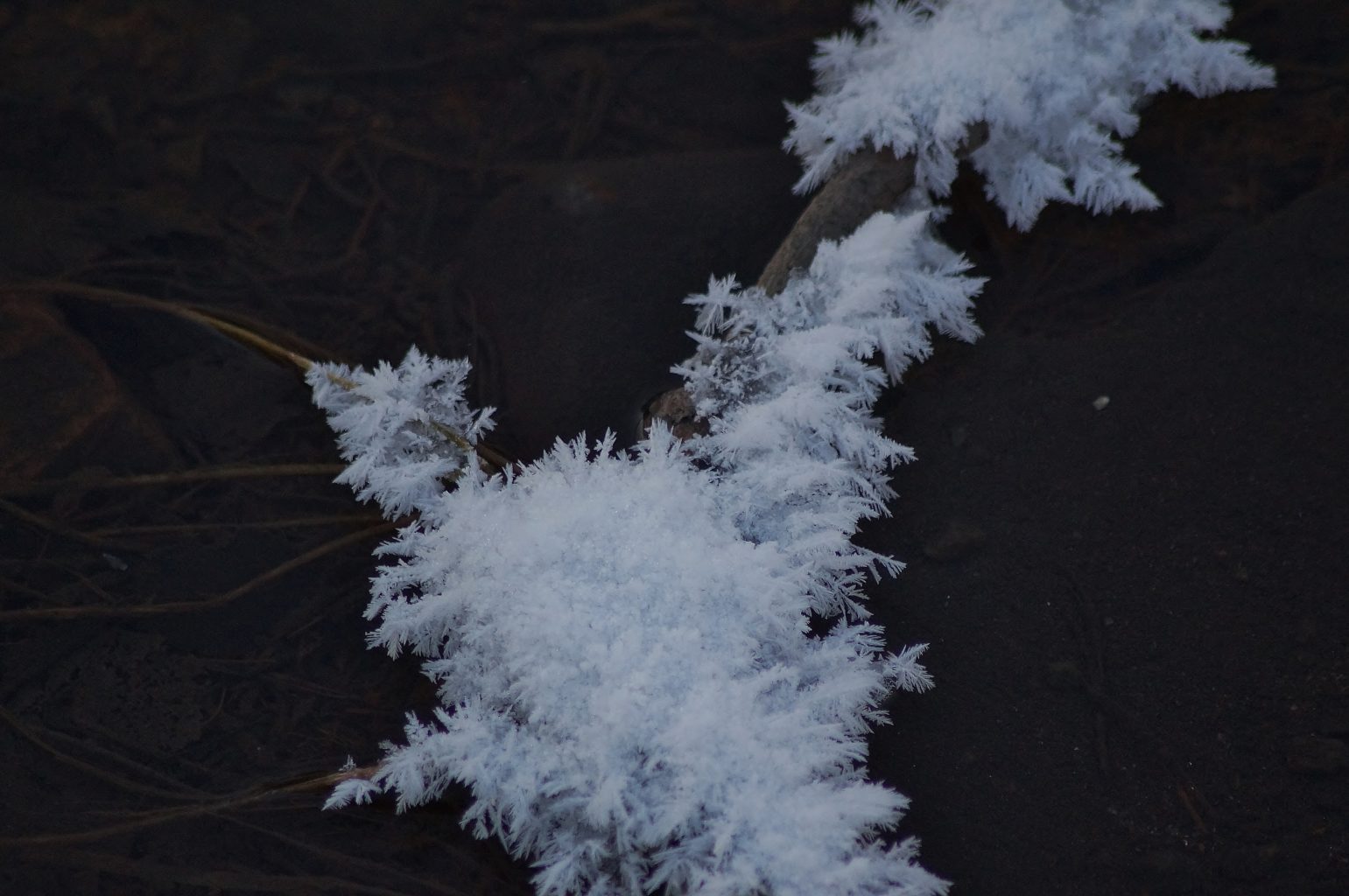 Valokuvaaja: Maarit Siitonen