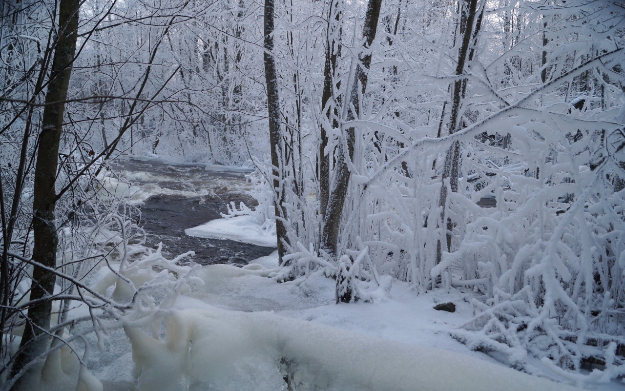 Valokuvaaja: Maarit Siitonen