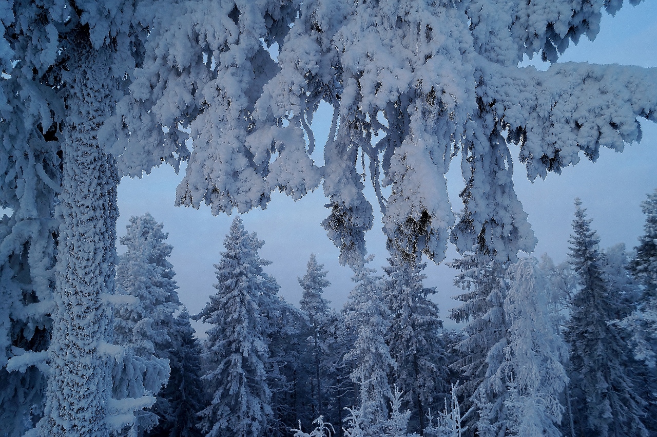 Valokuvaaja: Maarit Siitonen