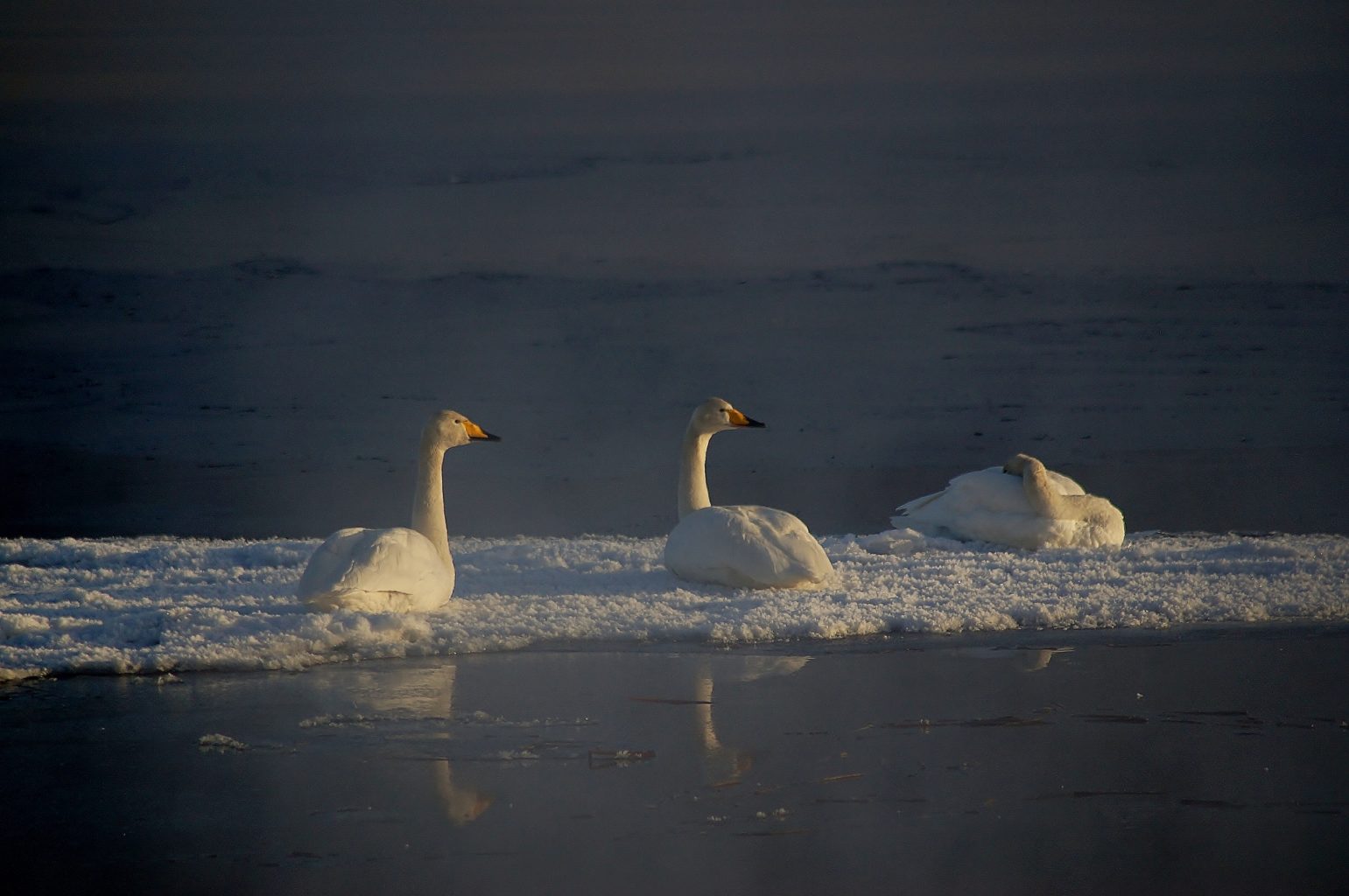 Valokuvaaja: Maarit Siitonen
