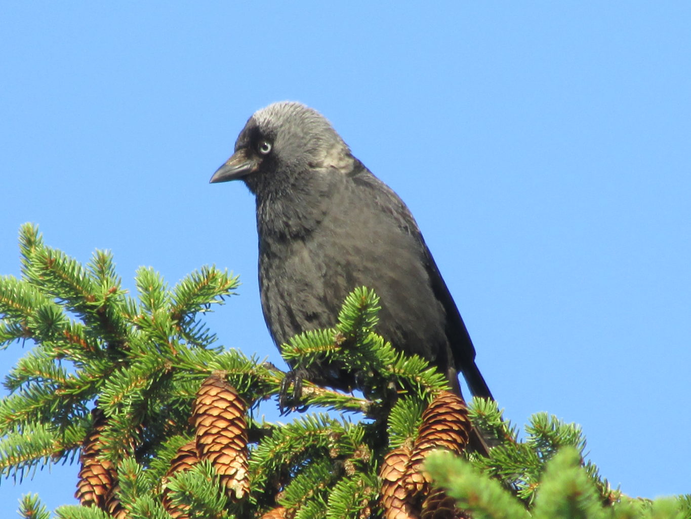 Valokuvaaja: Marjo Pihlastie