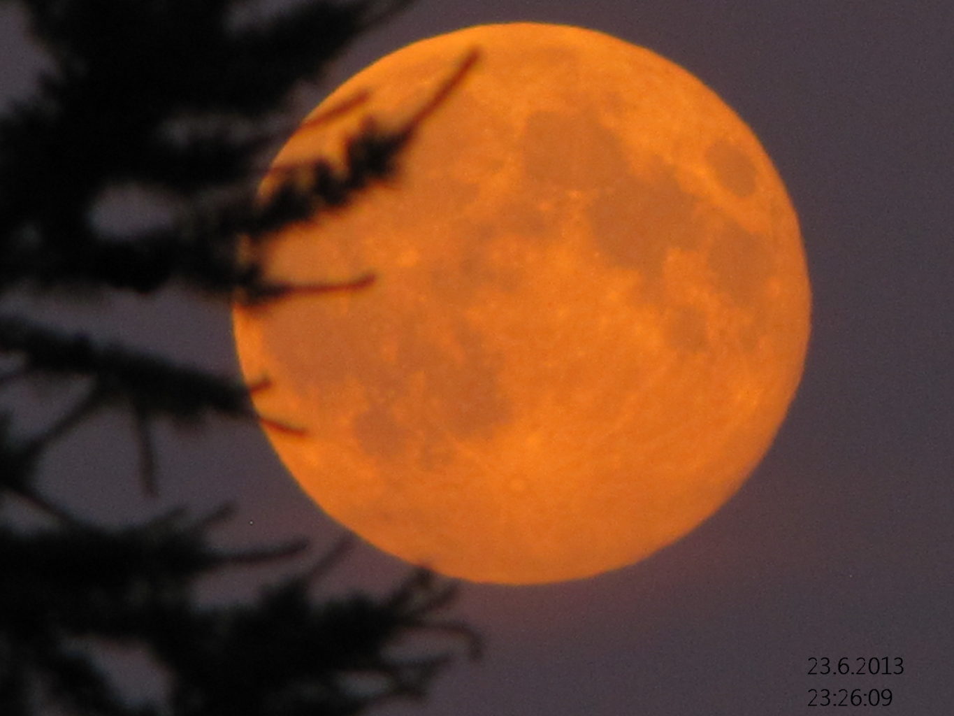 Valokuvaaja: Tuula Makkonen