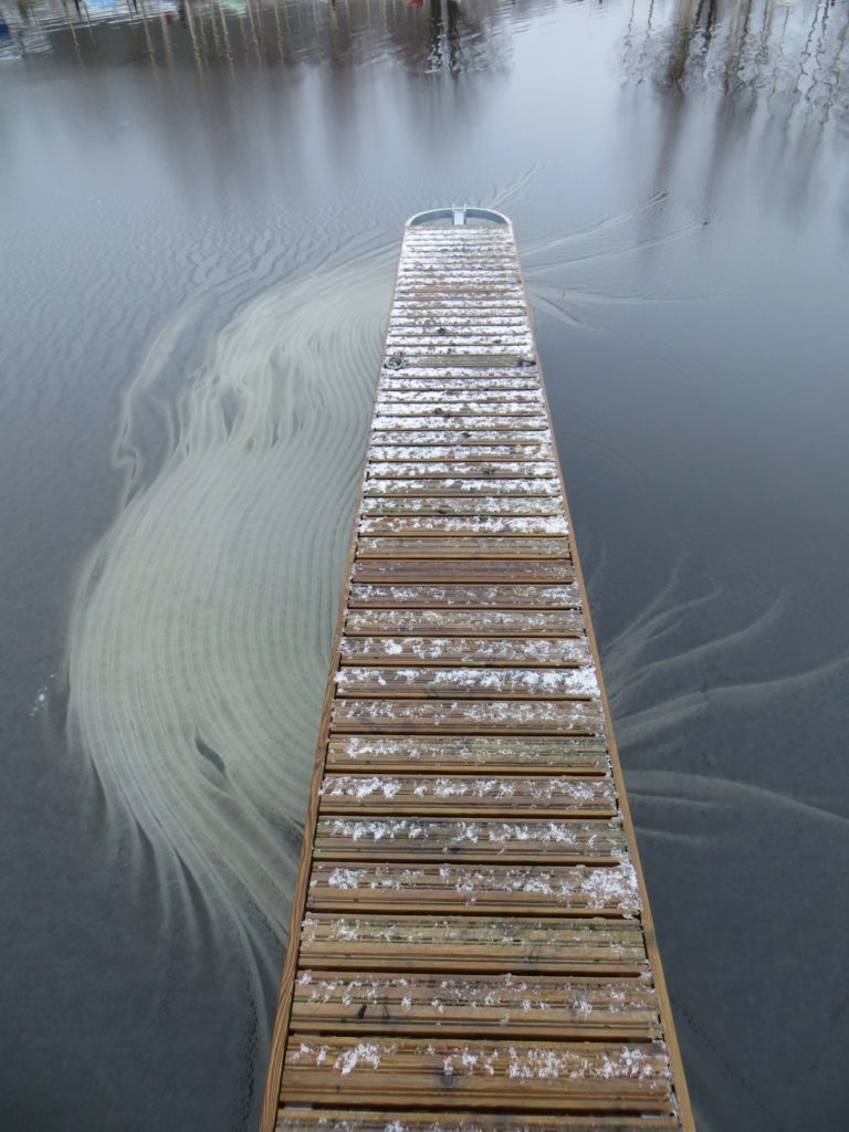 Valokuvaaja: Riitta Häkkinen Valokuvaaja: Riitta Häkkinen
