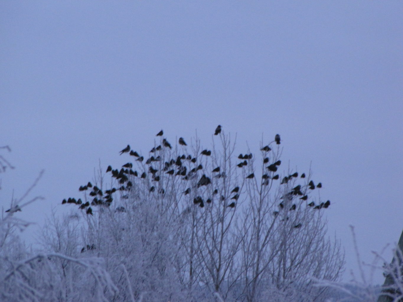 Valokuvaaja: Tuula Makkonen