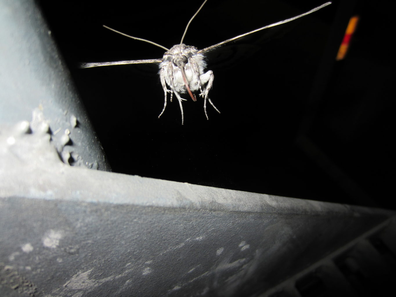 Valokuvaaja: Natalja Onishko Valokuvaaja: Natalja Onishko