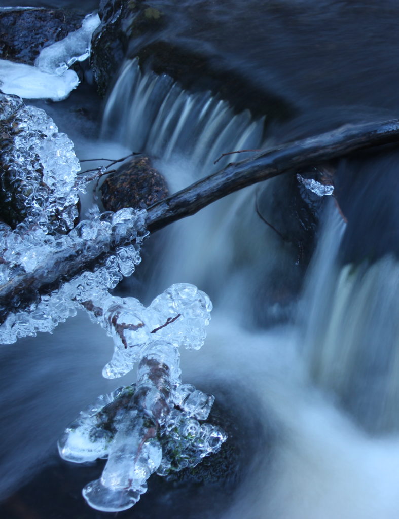 Valokuvaaja: Minna Jakosuo