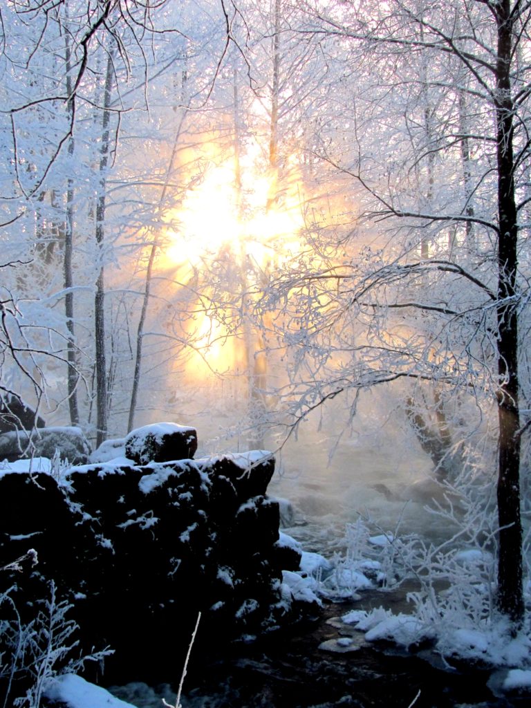 Valokuvaaja: Mervi M. Utria