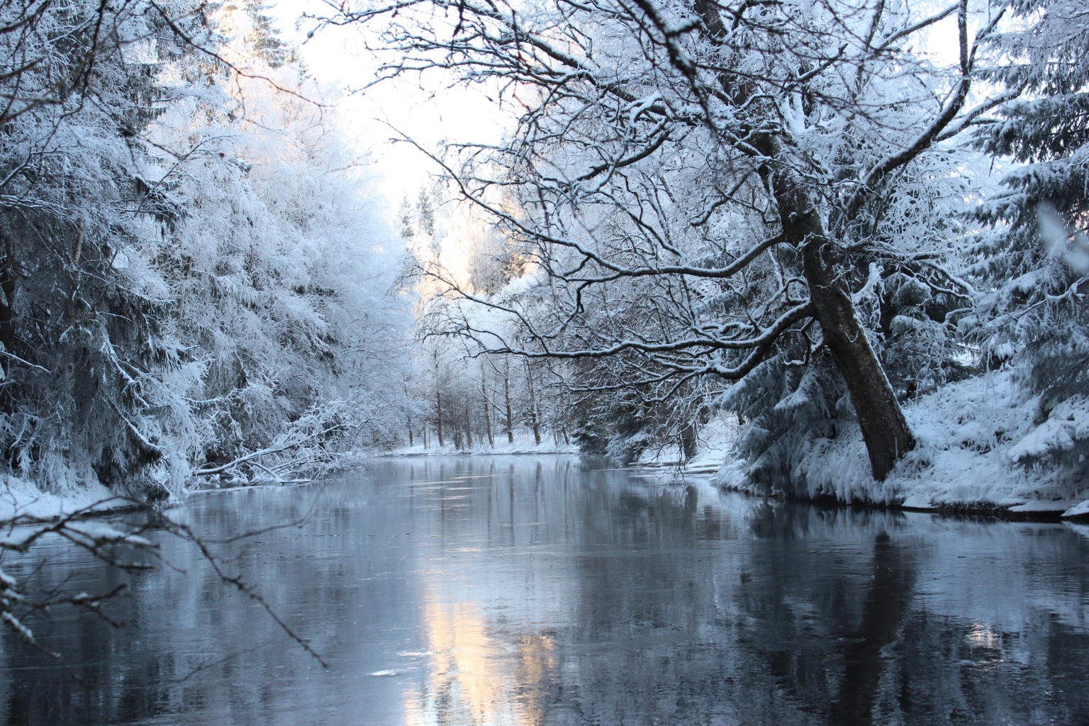 Valokuvaaja: Reijo Jalava