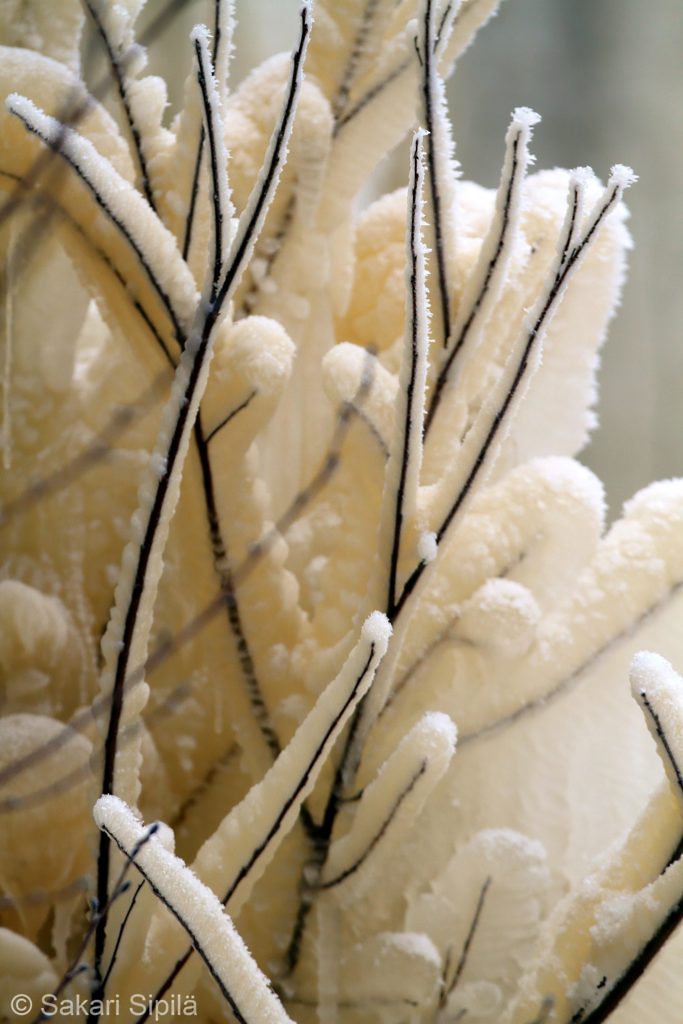 Valokuvaaja: Sakari Sipilä Valokuvaaja: Sakari Sipilä