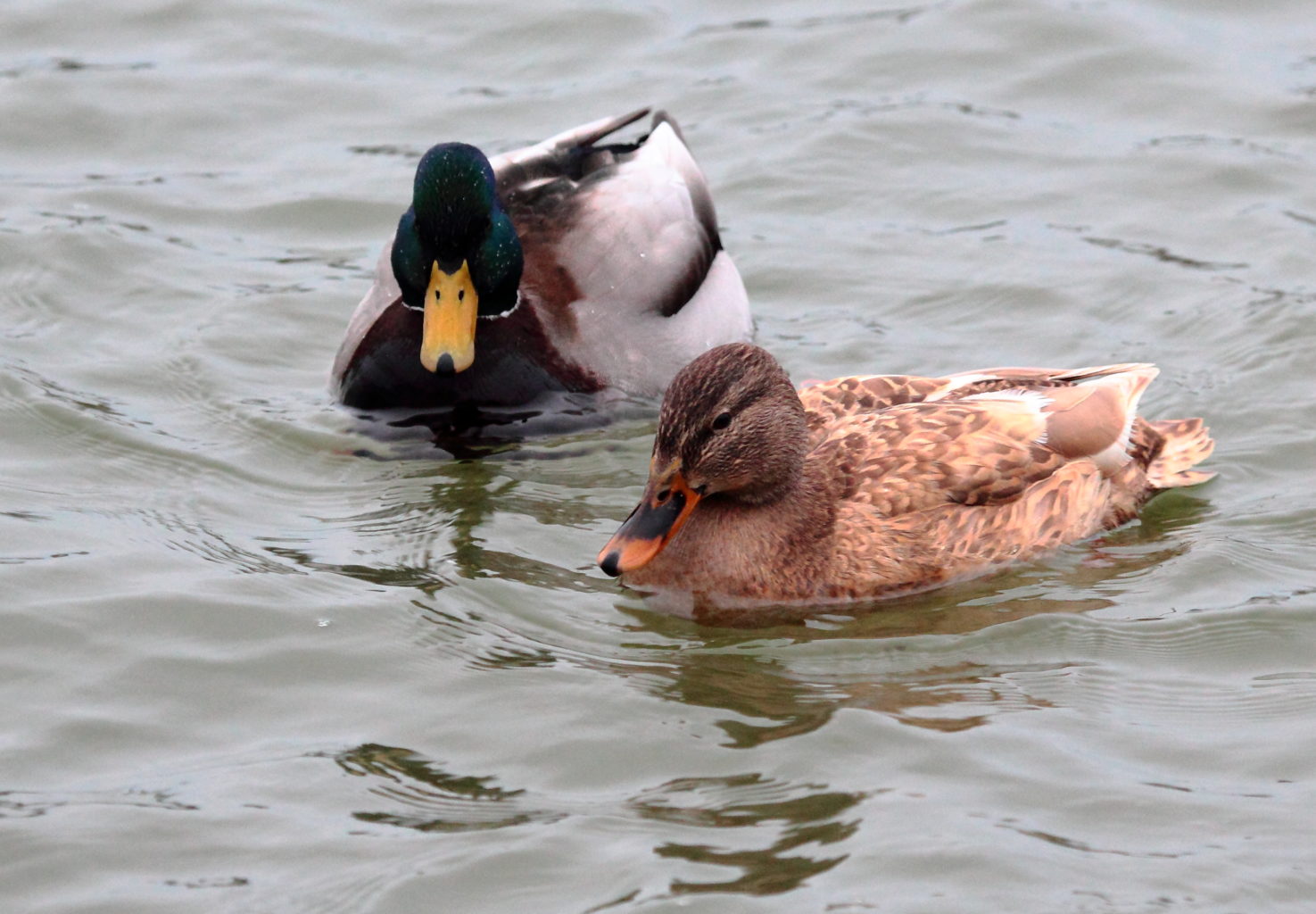 Valokuvaaja: Lasse Ylisaari