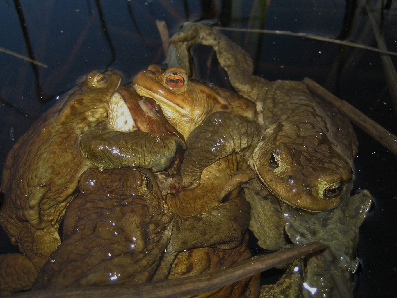 Valokuvaaja: Juhani Kolari Valokuvaaja: Juhani Kolari