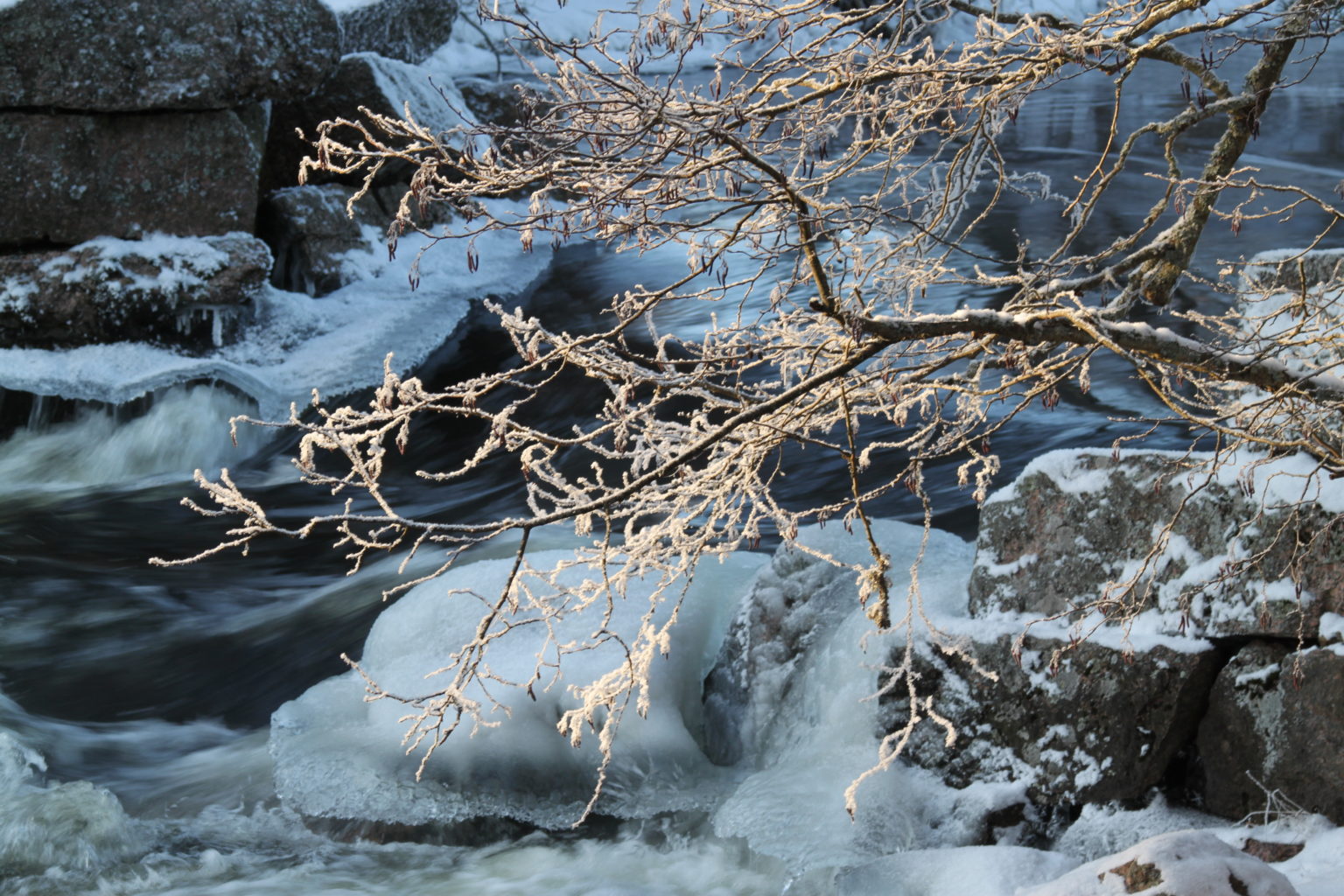 Valokuvaaja: Eero Korkee