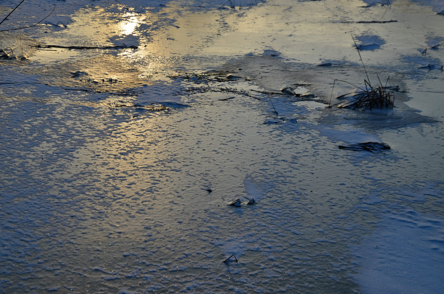 Valokuvaaja: unski ollikainen